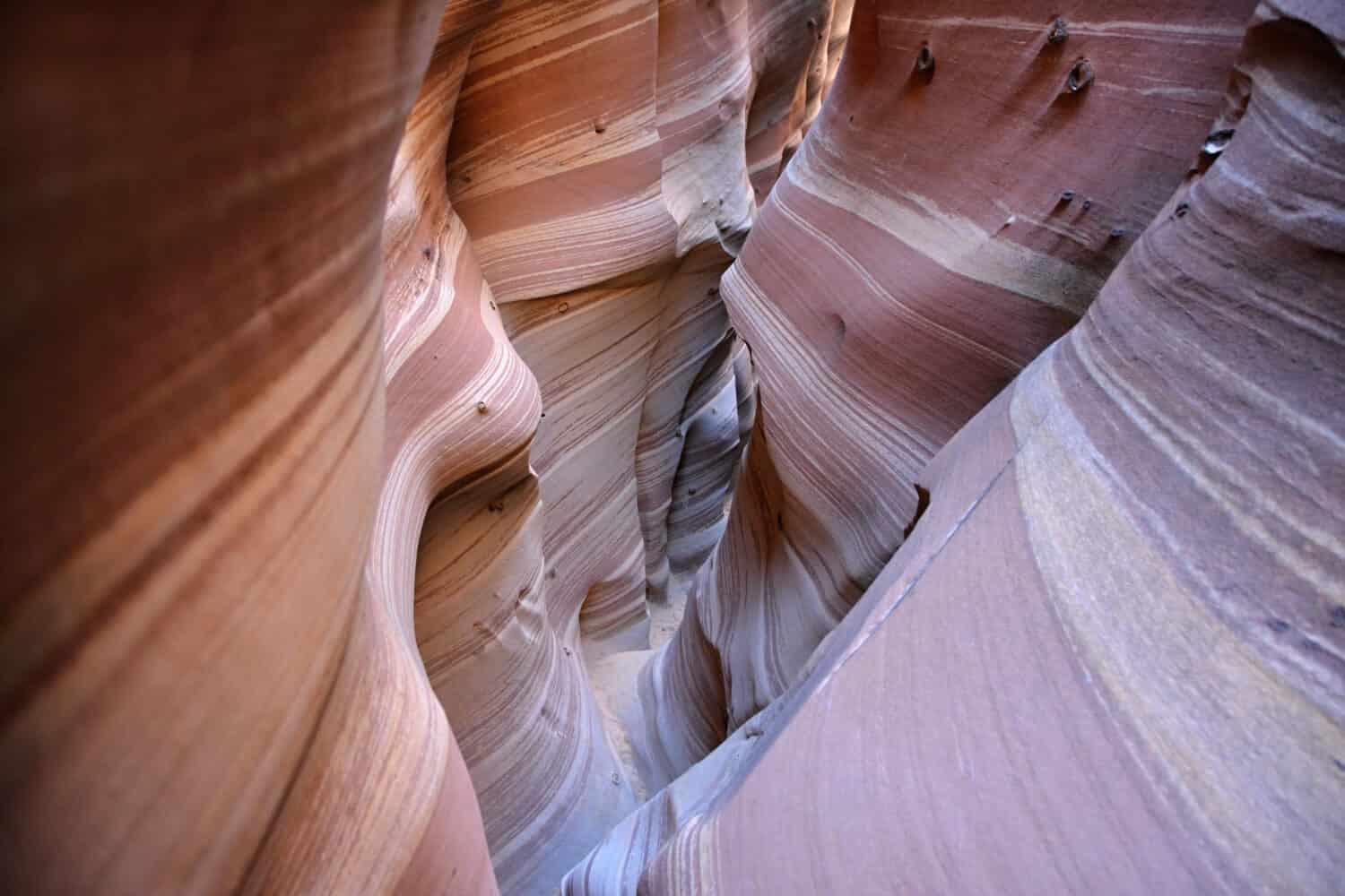 Stunning rock formations in Utah desert, trekking through Little Wild Horse Canyon.