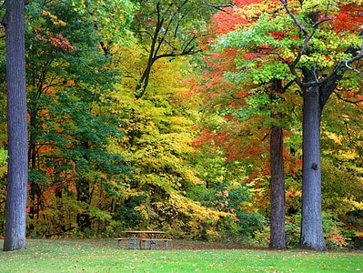A Discover When Leaves Change Color in Michigan (and 5 Beautiful Places to See Them)