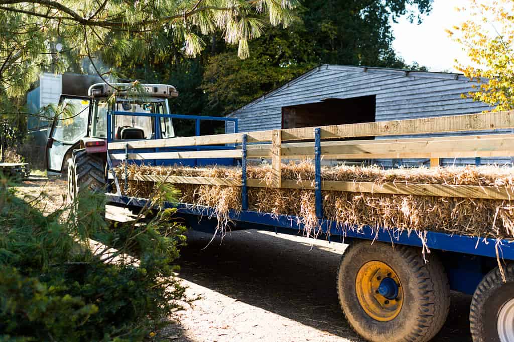 A blue tractor ready for a hayride