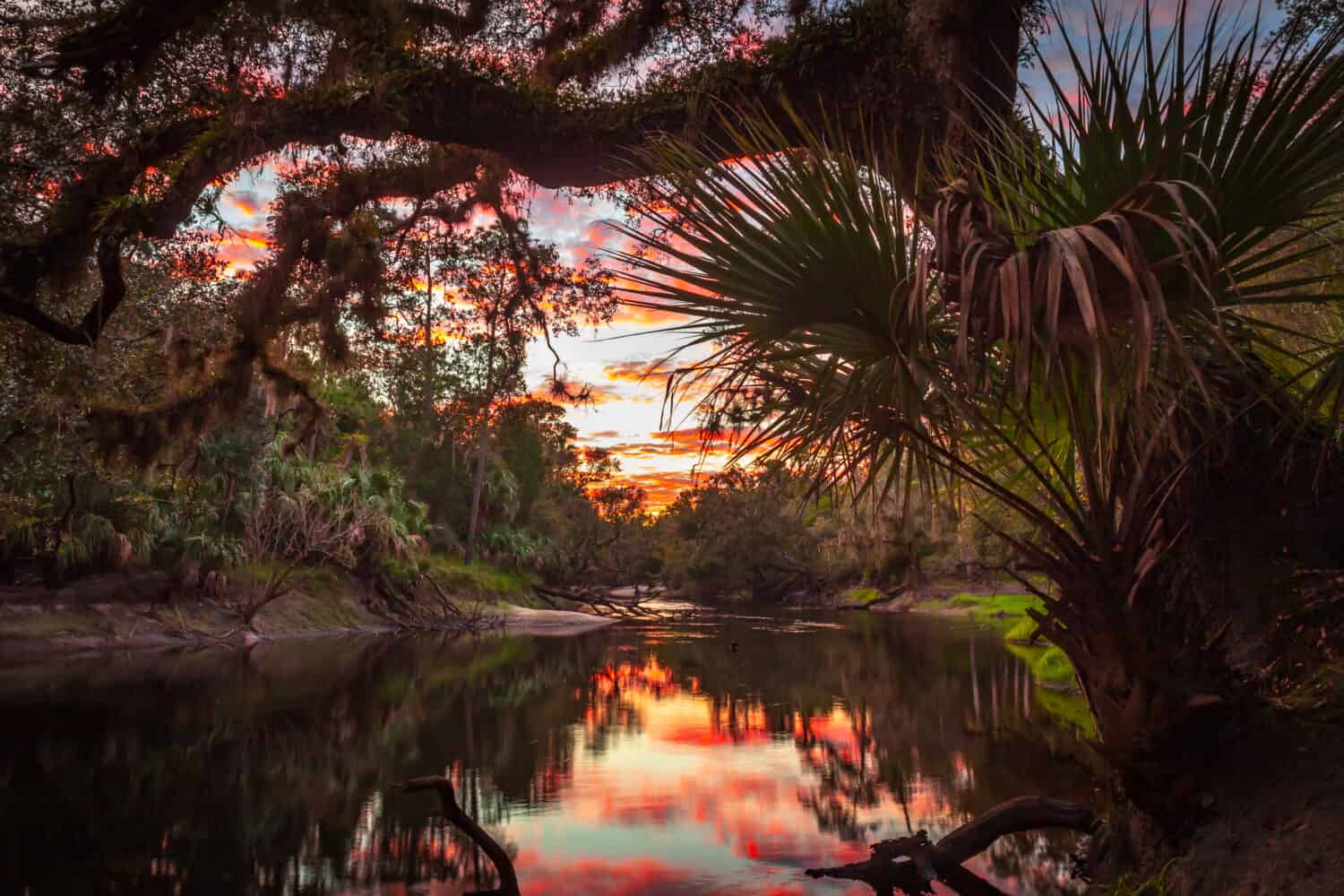 The sun sets over the Econlockhatchee, near Orlando in the Little Big Econ State Forest.