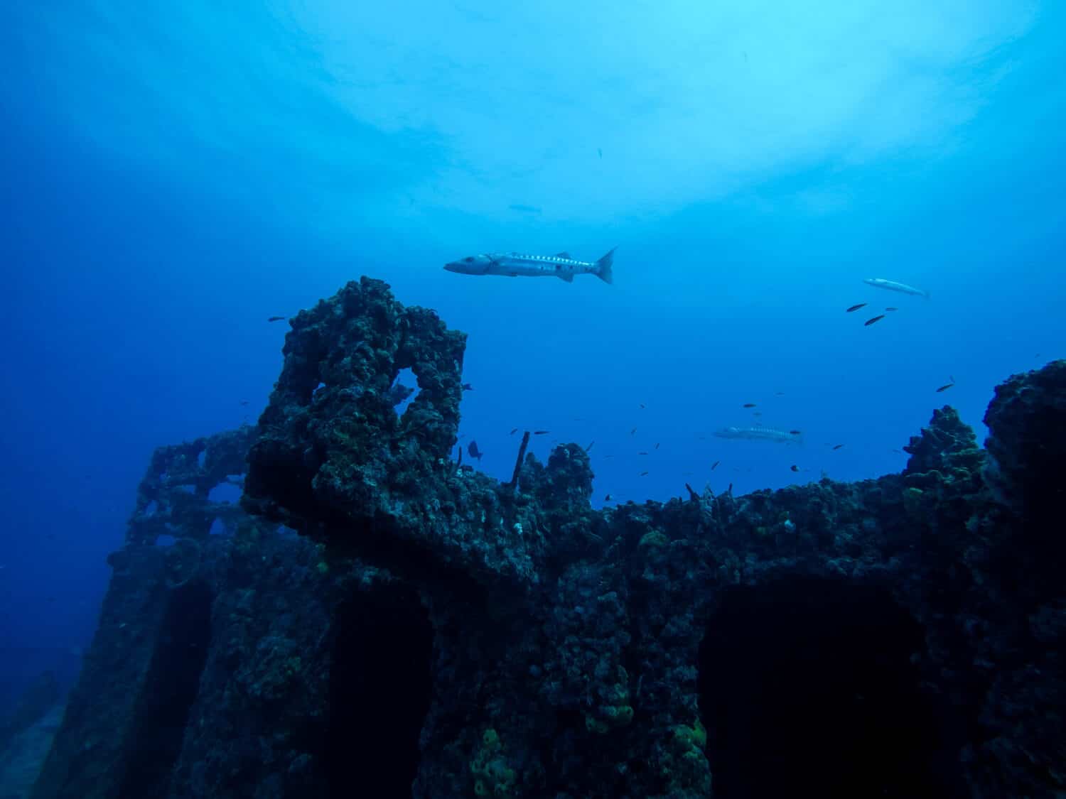 Underwater Shipwreck SCUBA Diving