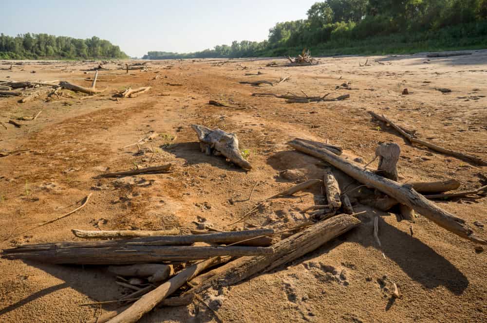 Drought along the Mississippi River by the confluence with the Missouri River, St. Louis, Missouri