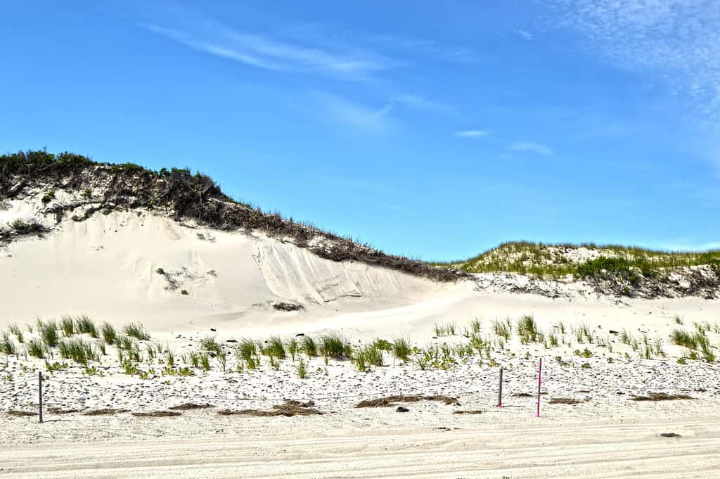 Sandy Neck Beach Sand Dunes, Sandwich, Cape Cod.  