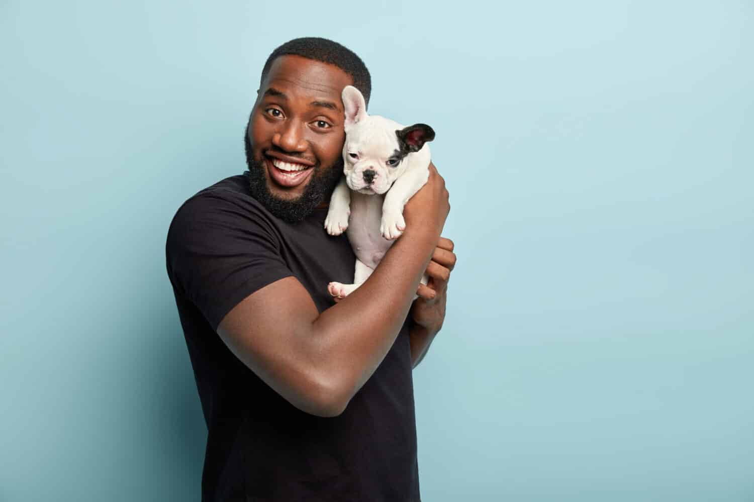 Happy satisfied smiling dark skinned man carries small pet of french bulldog breed, spend leisure time together, expresses positive emotions during photoshoot with dog, isolated over blue background
