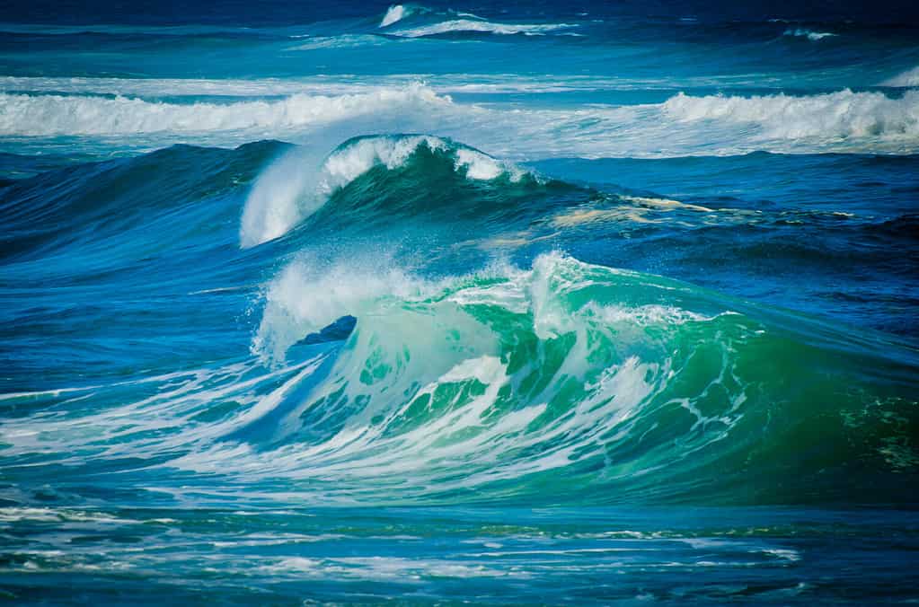 Big Waves. Full frame ocean. Roaring forties winds create large waves on Tasmania's wild west coast. Sea water background.