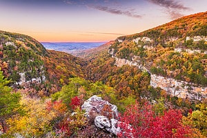 Top 10 Most Stunningly Scenic Drives in Georgia Picture