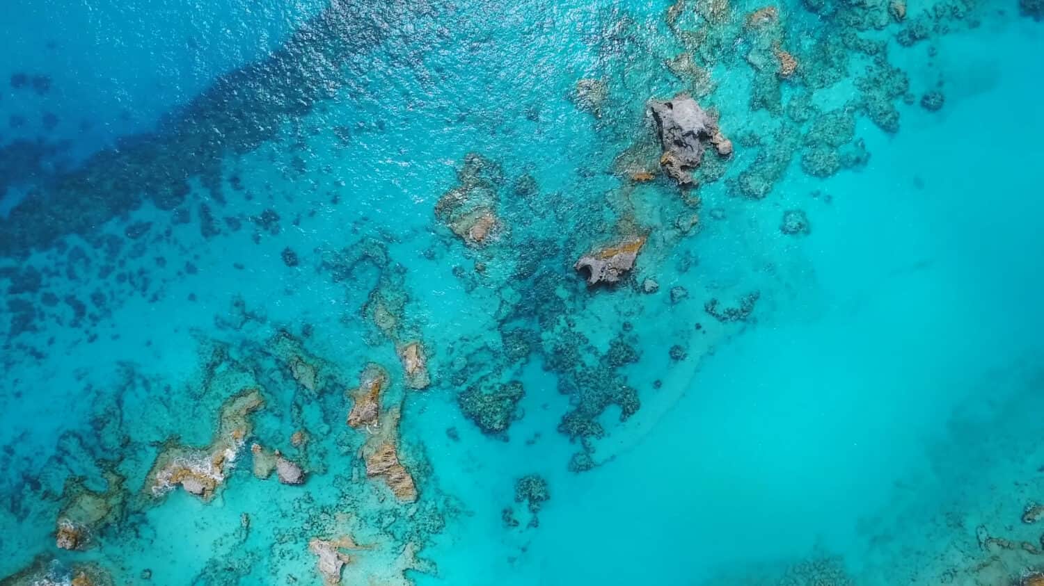 Coral reefs off the coast of Bermuda