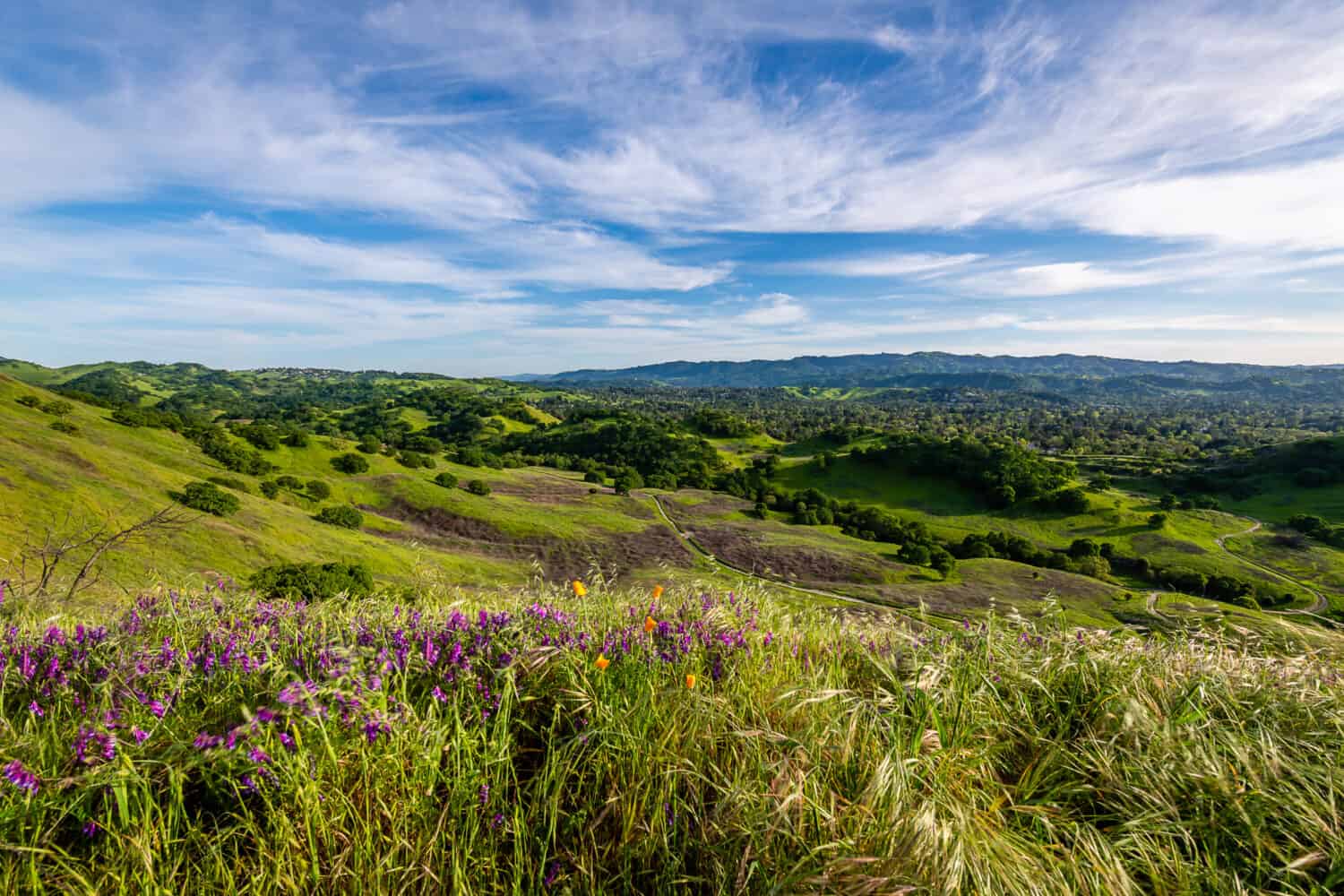 Mount Diablo State Park in California