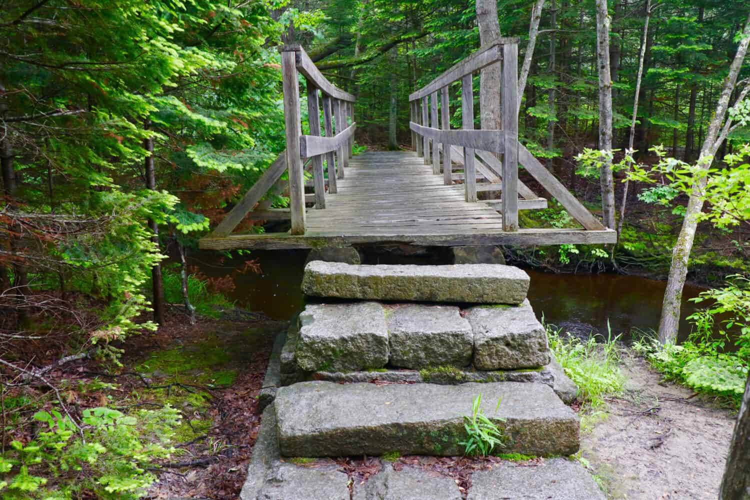 Hiking the trails in Buxton Maine