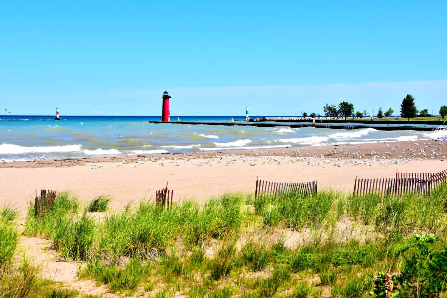 The distant lighthouse port and starboard markers as seen from Simmons Island along the shore line of Lake Michigan with sand beach and wild grasses in the foreground.  