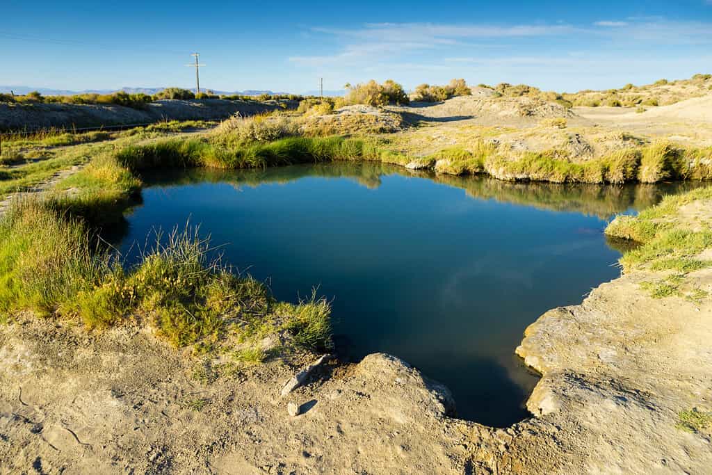 Trego Hot Springs in the Black Rock Desert Nevada with Shallow Depth of Field.