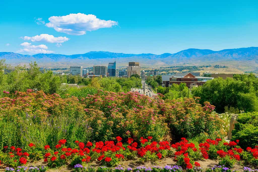 Beautiful garden filled with flowers blooming before the Boise Idaho skyline
