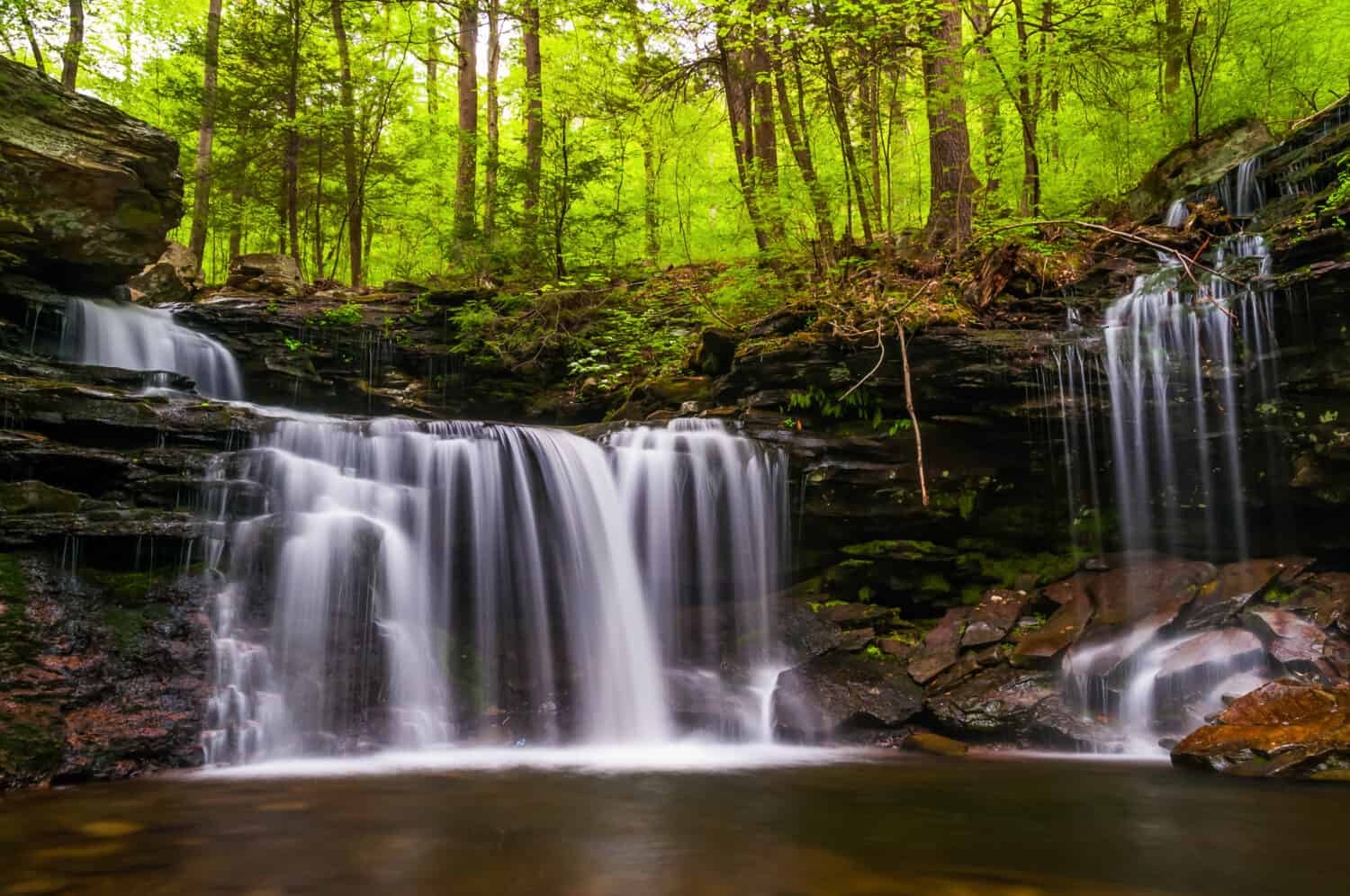 Waterfall on Kitchen Creek in Ricketts Glen State Park, Pennsylvania.