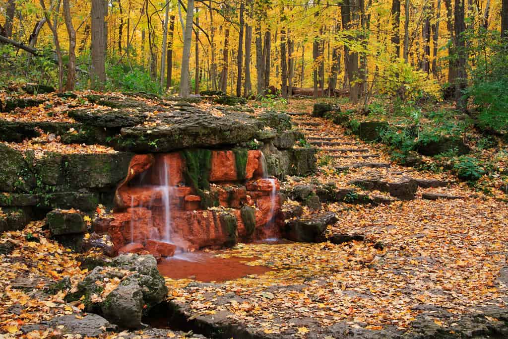 A Natural Spring With Stone Stairway And Path Through A Forest Ablaze With The Colors Of Autumn, Glen Helen Nature Preserve; Yellow Springs Ohio, USA
