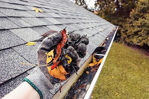 6 Reasons You Should Install Gutter Guards on Your House Today Picture