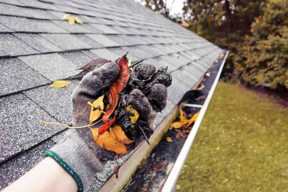 Cleaning leaves and debris out of rain gutters in autumn