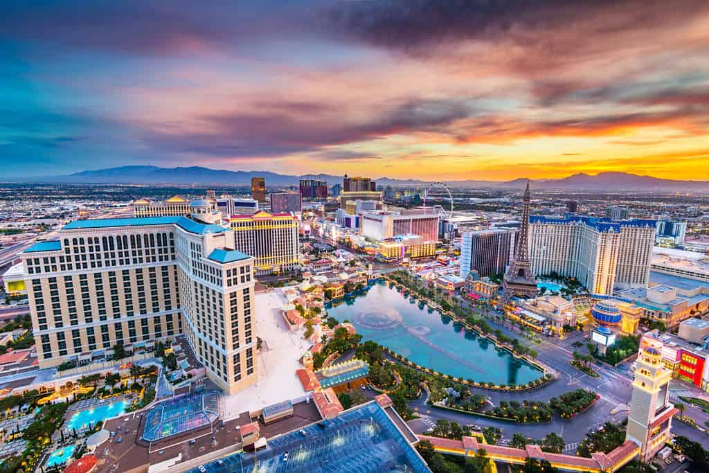 Reasons People are Moving to Las Vegas 