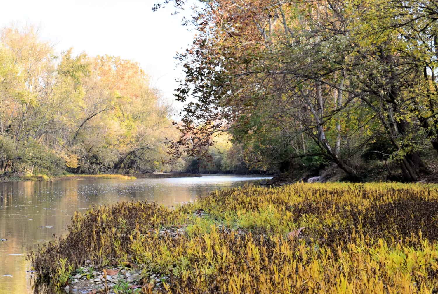 Fall Along the Great Miami River