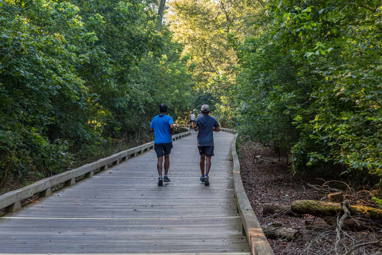 ALPHARETTA, GEORGIA -August 27, 2017: The Big Creek Greenway is over 20 miles of paved and board fitness trails spanning two counties north of Atlanta through lush green wetlands.