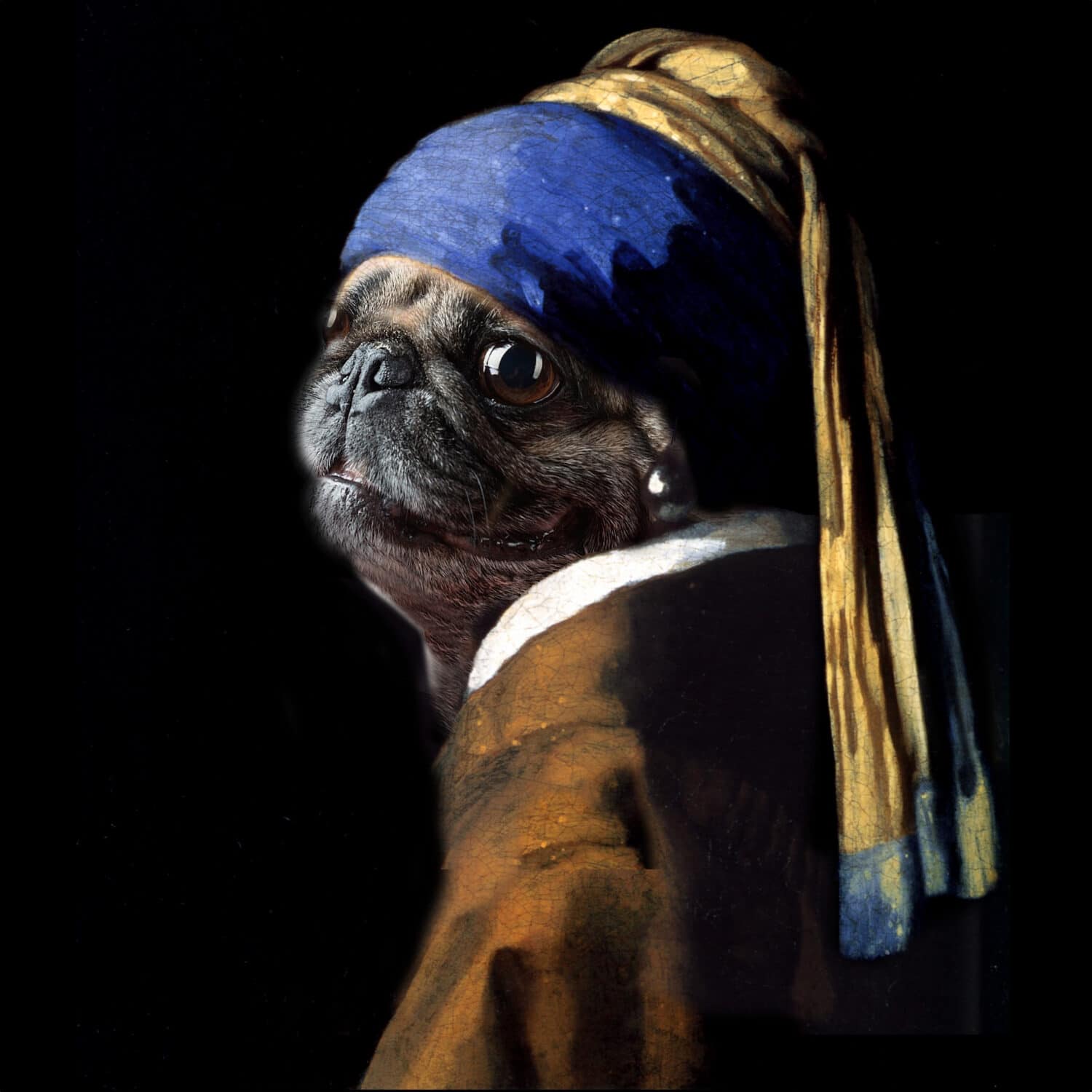 Vermeer spoof  of "Girl with a Pearl Earring" now, "Pug with a Pearl Earring" using my daughter's pug dog photo morphed into the correct position for a similar portrait.