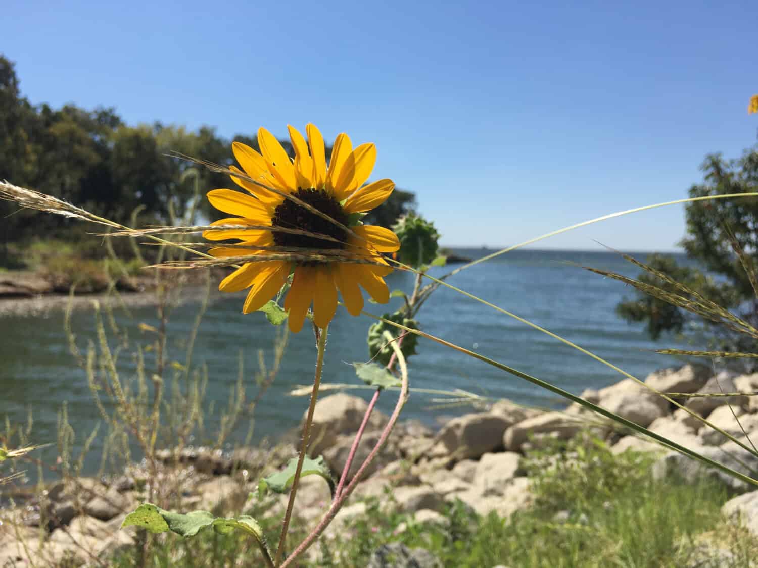 Ray Roberts Lake State Park