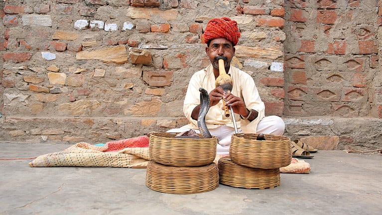 Cobra enchanter sitting in the street with his cobra