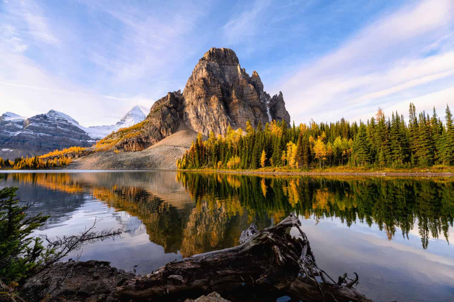 Sunrise on Sunburst Lake with Mount Assiniboine in autumn forest at provincial park, Canada