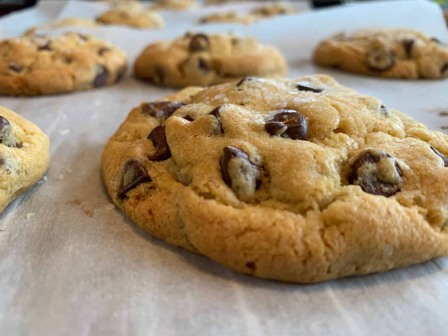Freshly baked delicious chocolate chip cookie isolated with blurred cookies in background