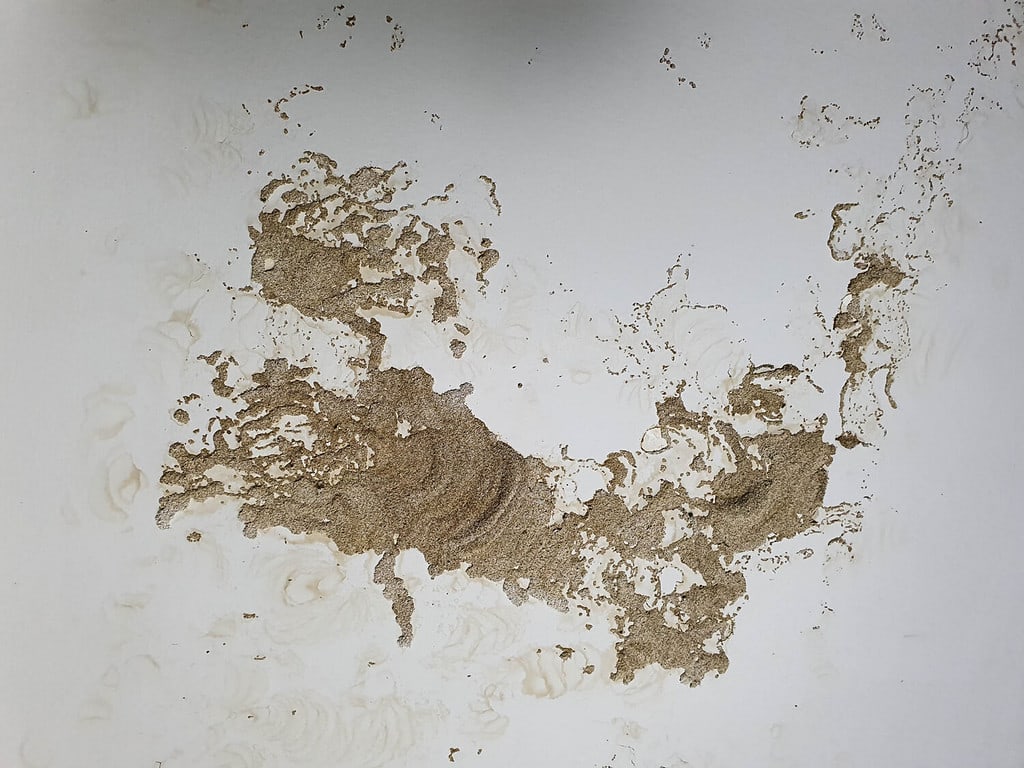 Termite nests on the ceiling of the house
