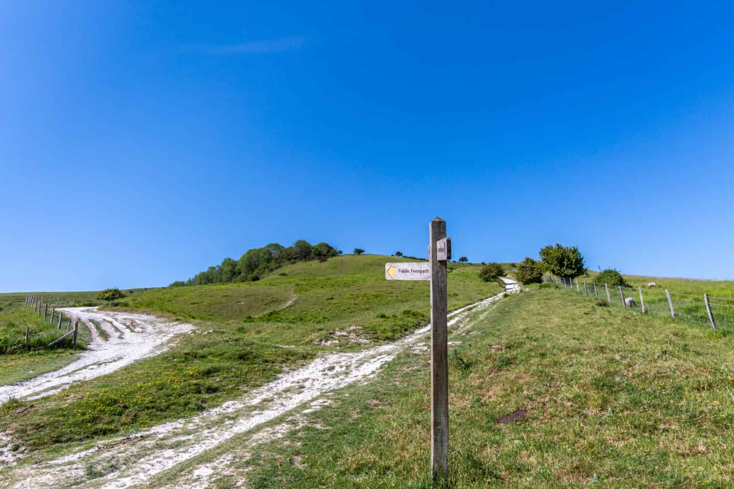 Chalk pathways in the South Downs, with a clear blue sky overhead