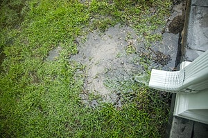 What pH is Rainwater And Should You Drink It? Picture
