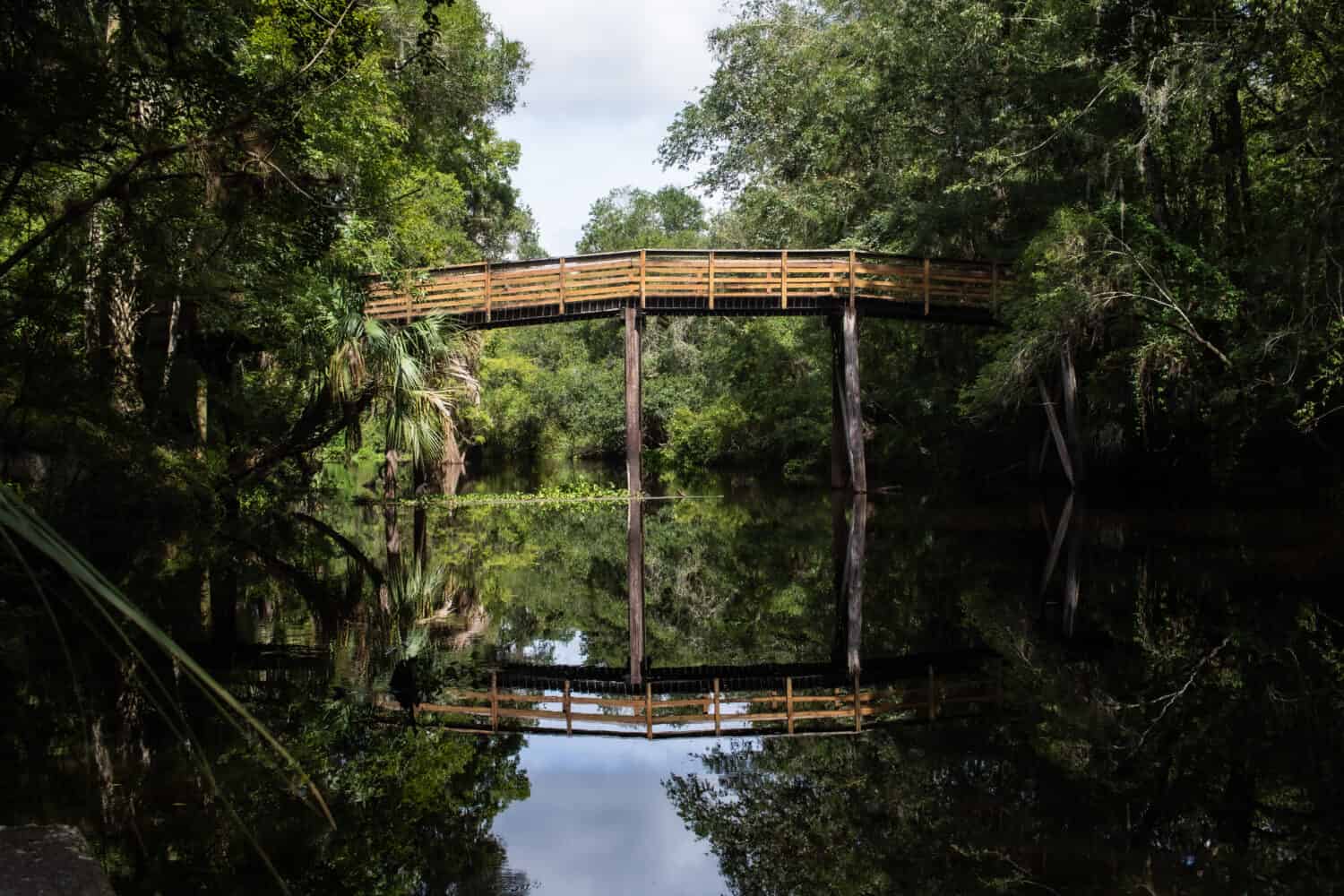 A beautiful view of the bridge at Hillsborough River State Park, Florida, USA