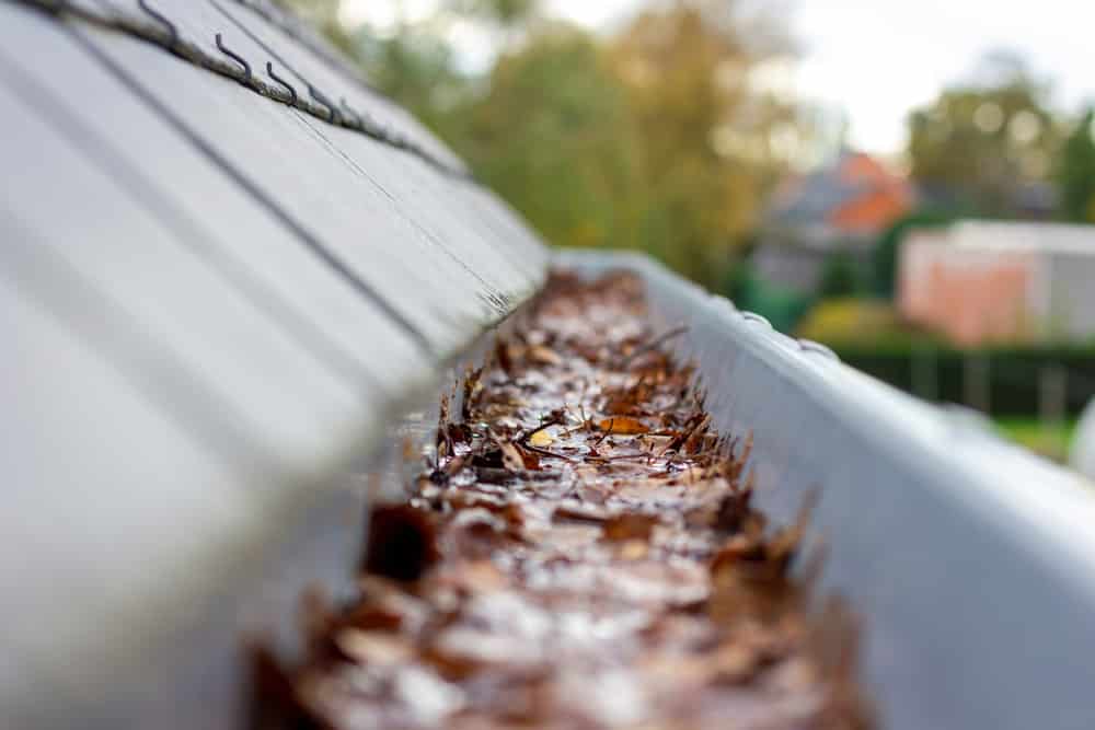 A portrait of inside of a clogged roof gutter filled with water and autumn leaves. The water cannot run away, this is a typical chore in or after autumn when all leaves have fallen.