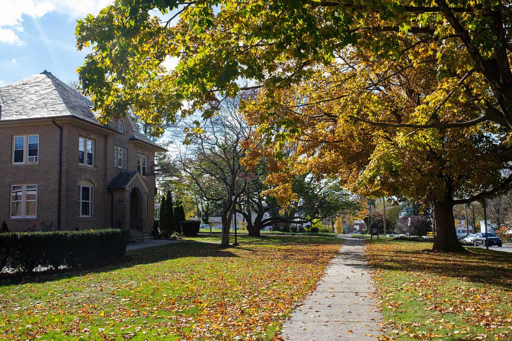 Fall landscape - two-story building on left from the sidewalk, tall trees with yellow and green leaves on the right, the green grass of the lawn is covered by dry fallen leaves on a sunny bright day