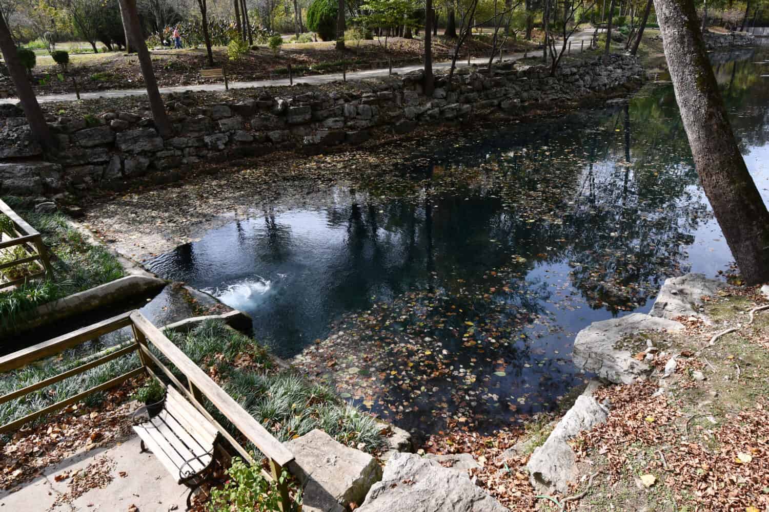 The water at the Blue Spring Heritage Center in Eureka Springs, Arkansas. Leaves have fallen into the water.