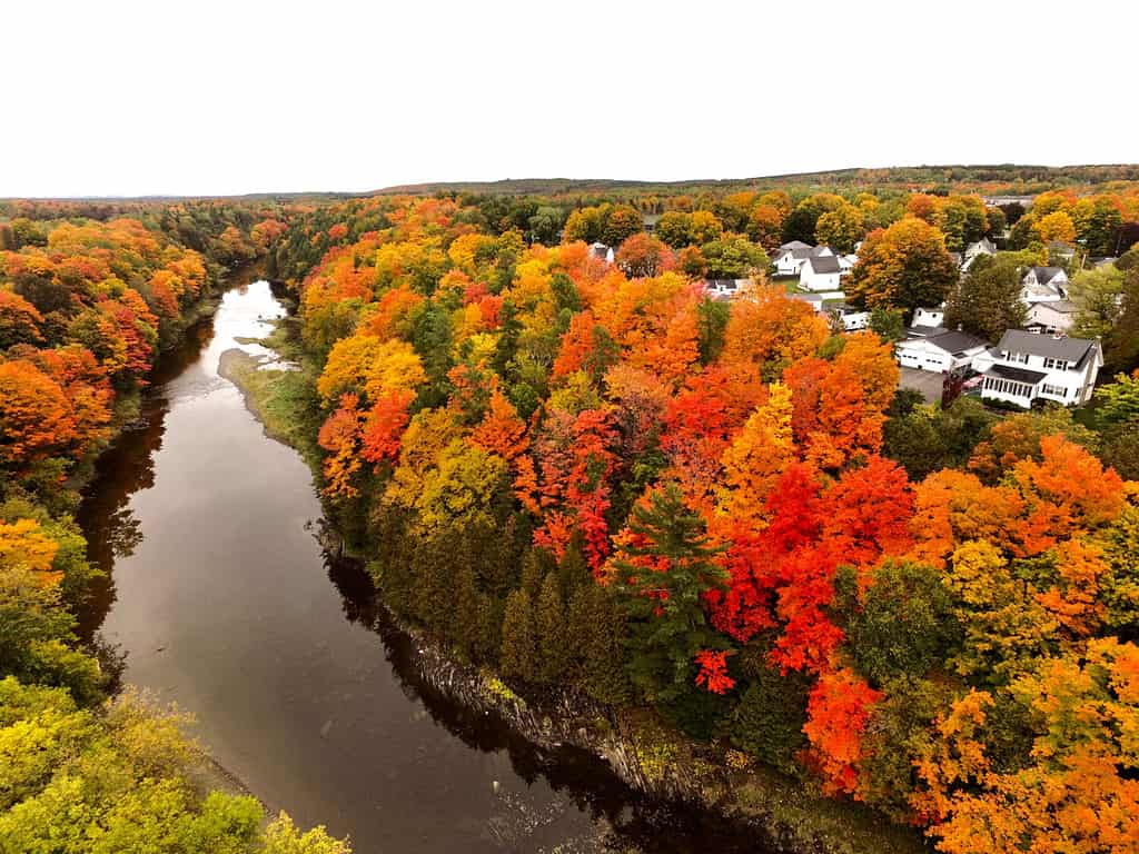 Fall foliage on the Meduxnekeag River in Houlton, Maine