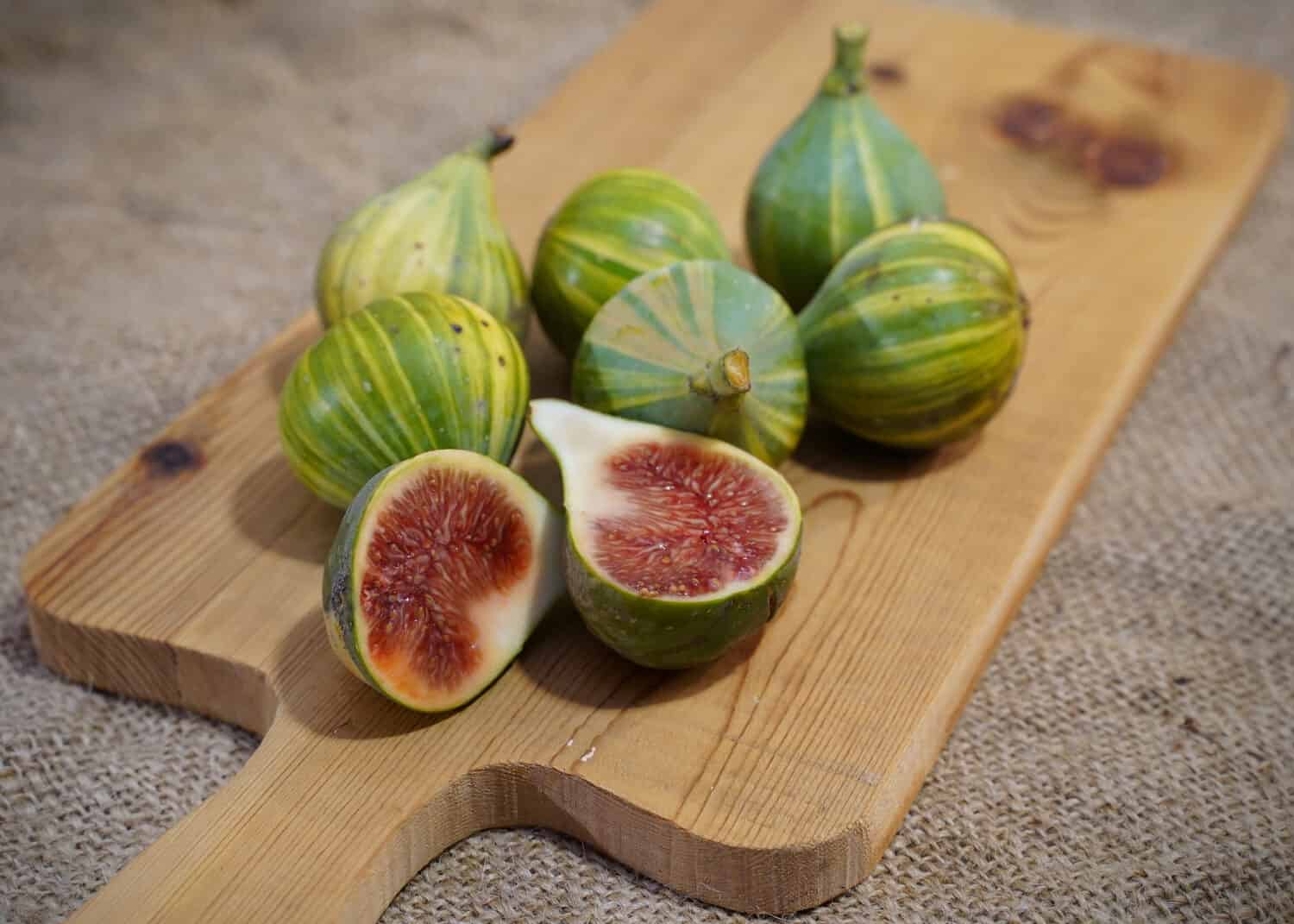 Ecological striped figs. Various striped tiger figs, also known as panache figs, and striped candy figs