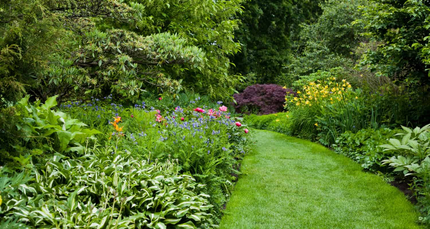 Lush green botanical garden - blooming spring flowers and lawn path.
