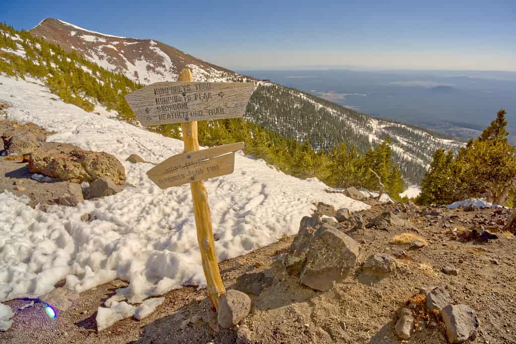 Trail Sign to Humphrey's Peak Arizona