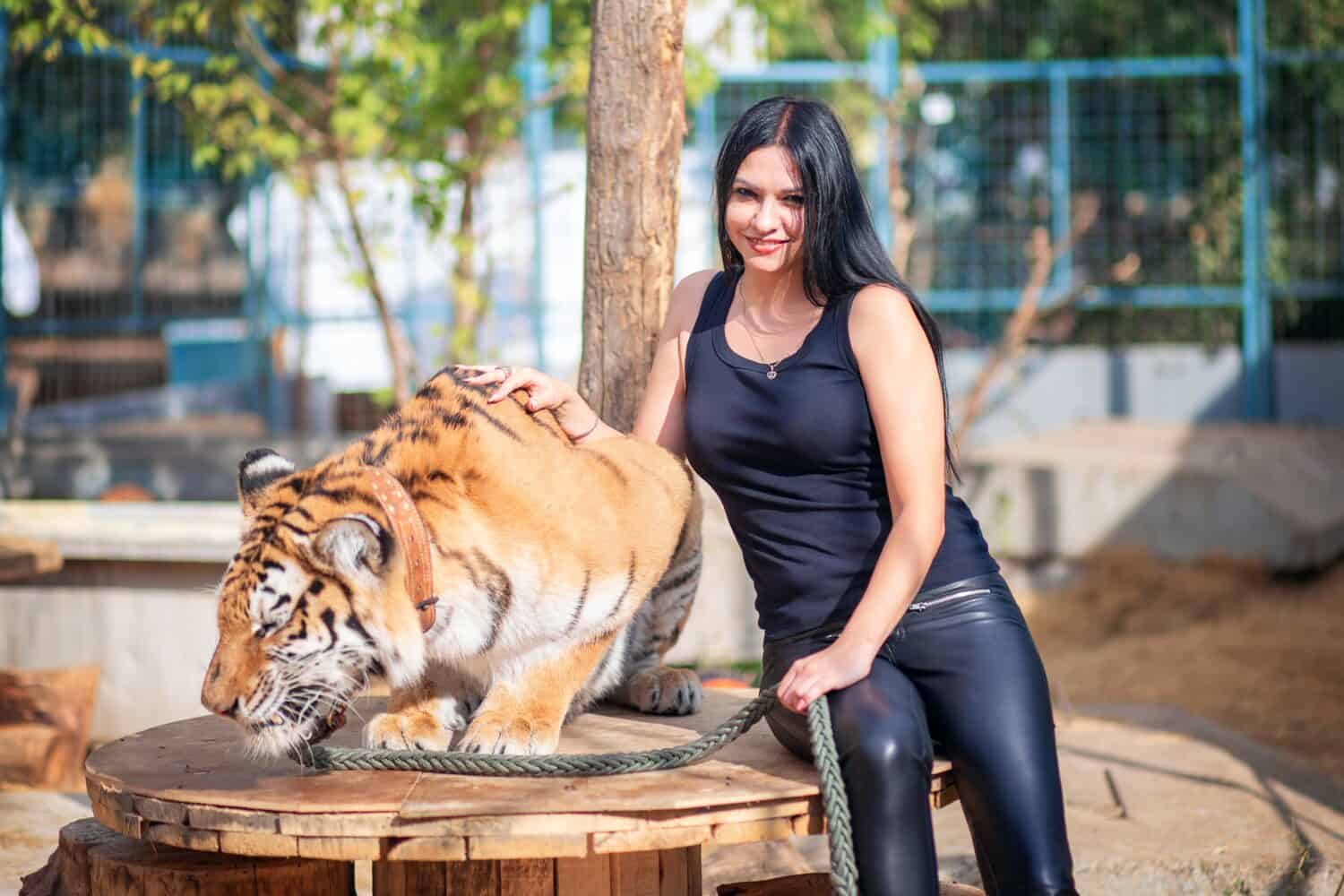 A beautiful girl in black clothes with black hair posing next to a tiger. Symbol of the year 2022