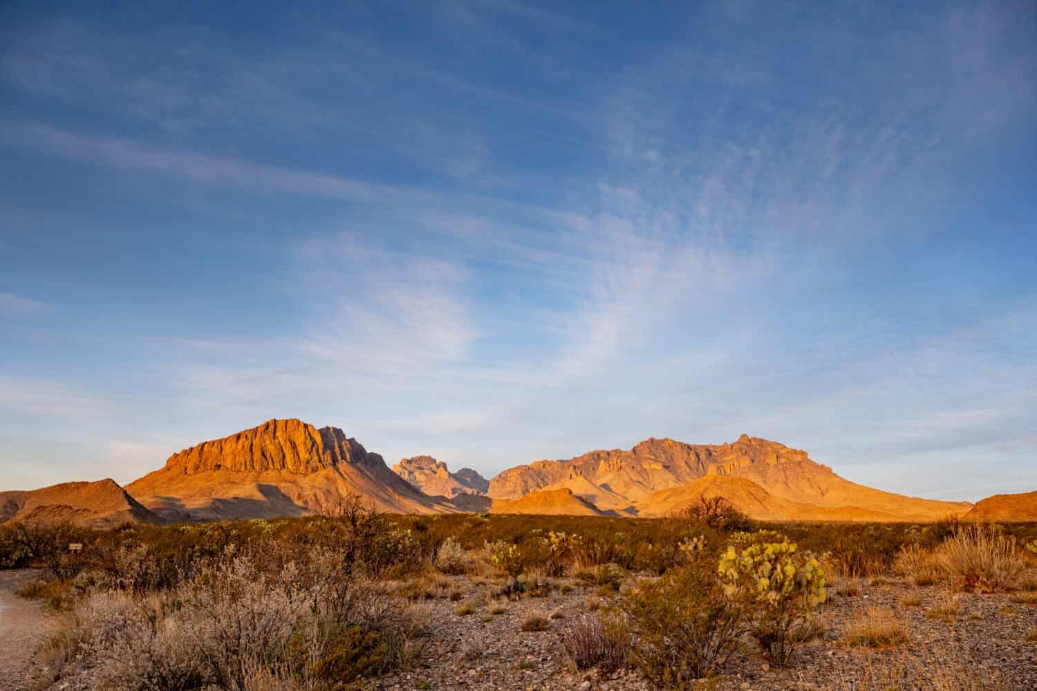 Chisos Mountains from Big Bend Valley wilderness area