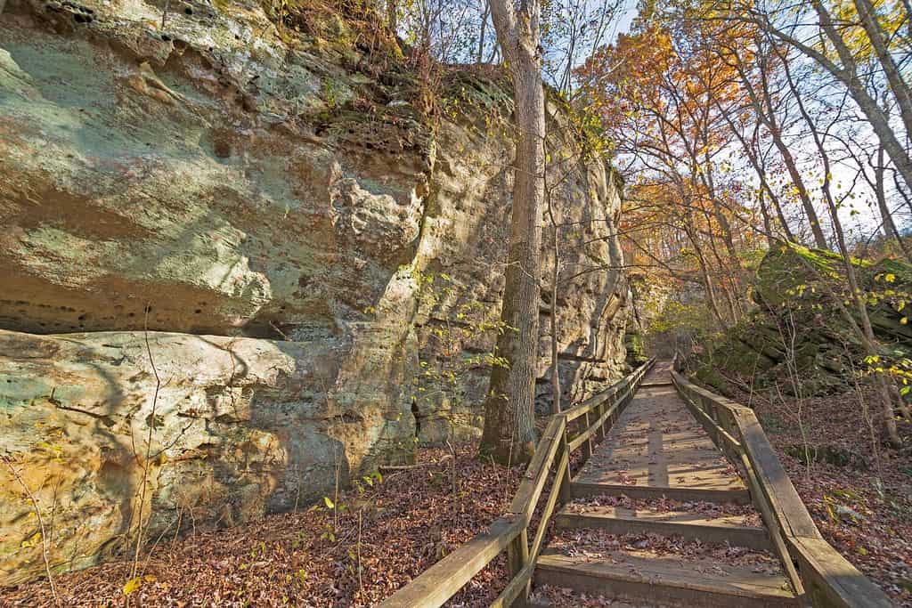 Quiet Path Along a Sandstone Ridgeline in Giant City State Park in Illinois