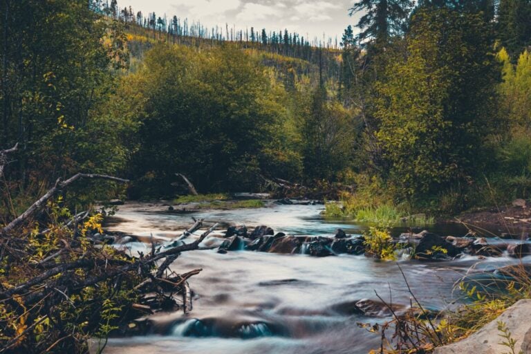 The scenic nature of Little Colorado River in Greer in the morning, Arizona