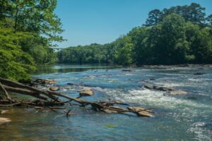 Discover the 5 Best Rivers for Whitewater Rafting in Georgia Picture