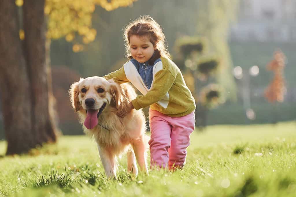 Little girl have a walk with Golden Retriever dog in the park at daytime.