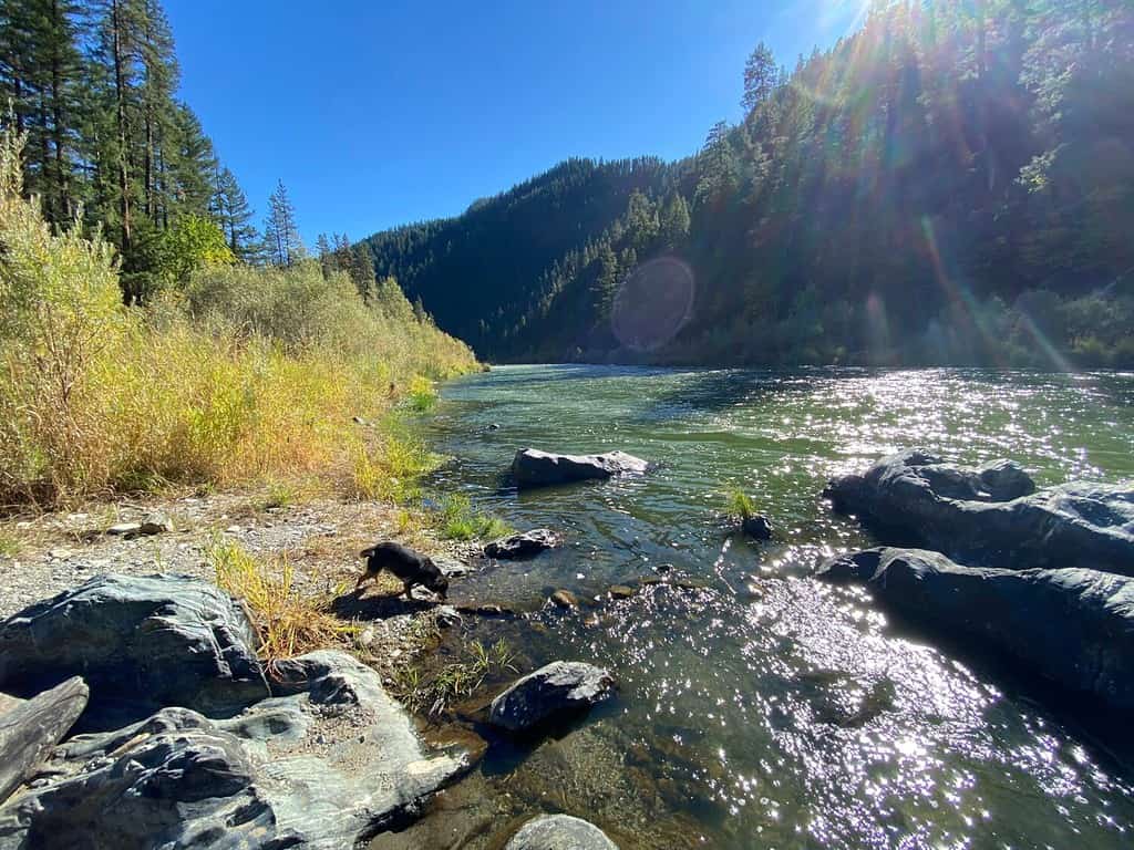 Klamath river, tribes have historically, and continue to, use traditional ecological knowledges and practices to care for and manage their landscape.