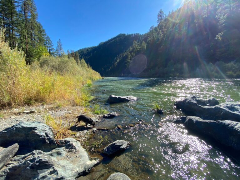 Klamath river, tribes have historically, and continue to, use traditional ecological knowledges and practices to care for and manage their landscape.