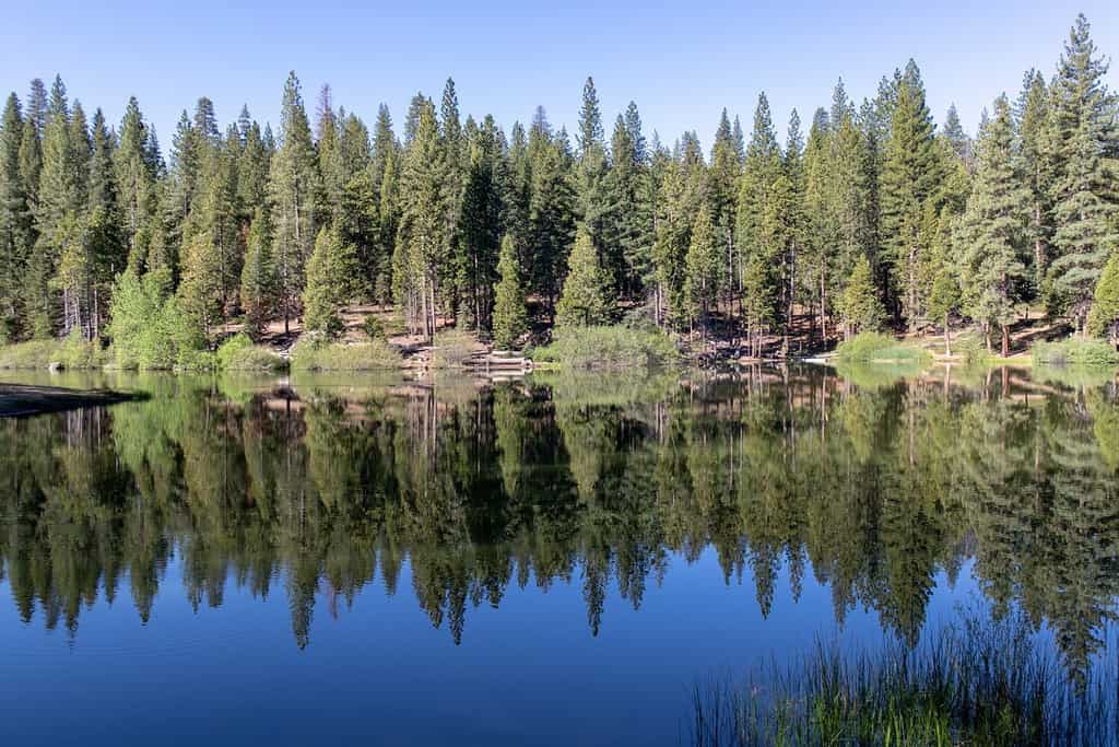 Hume Lake reflection in Sequoia National Forest, California