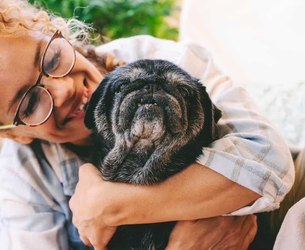 Cheerful woman hugging black old dog with love and freindship. Animal pug best friend forever. Female people and her puppy enjoying time together with happiness. Lady smiling and bonding dog
