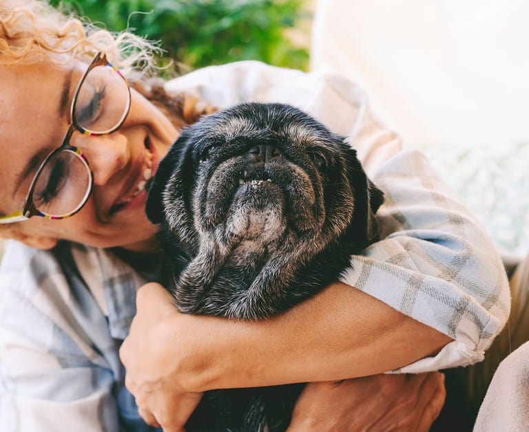 Cheerful woman hugging black old dog with love and freindship. Animal pug best friend forever. Female people and her puppy enjoying time together with happiness. Lady smiling and bonding dog